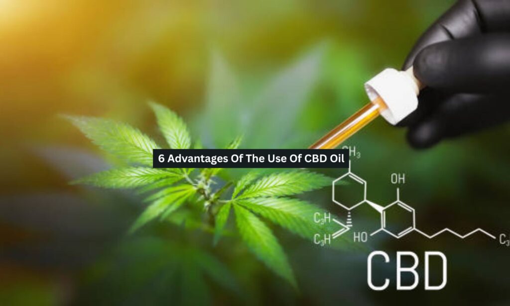 CBD Oil