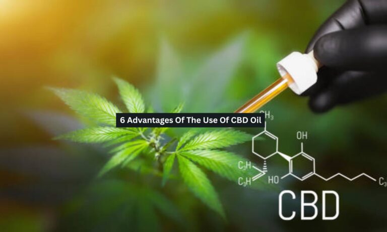 CBD Oil