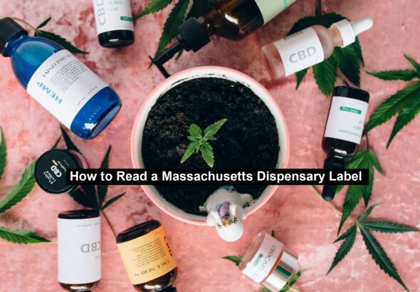 Massachusetts Dispensary Label